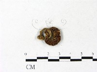 登錄號:F0022925藏品圖，第3張
