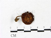 登錄號:F0022927藏品圖，第3張