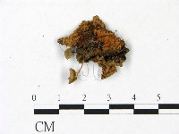 登錄號:F0022928藏品圖，第3張