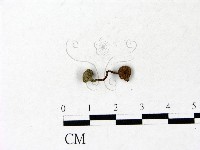登錄號:F0022932藏品圖，第1張