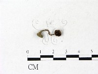 登錄號:F0022932藏品圖，第3張