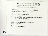 登錄號:F0022933藏品圖，第2張
