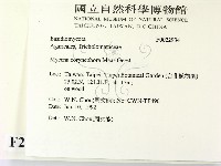登錄號:F0022934藏品圖，第2張