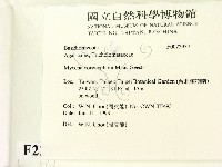 登錄號:F0022937藏品圖，第2張