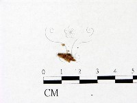 登錄號:F0022937藏品圖，第1張