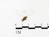 登錄號:F0022937藏品圖，第3張