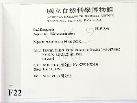 登錄號:F0022939藏品圖，第2張