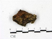 登錄號:F0022939藏品圖，第1張