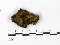 登錄號:F0022939藏品圖，第3張