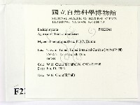 登錄號:F0022941藏品圖，第2張