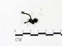 登錄號:F0022941藏品圖，第3張