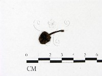 登錄號:F0022942藏品圖，第1張