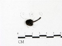 登錄號:F0022942藏品圖，第3張