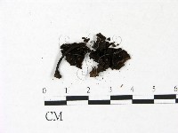 登錄號:F0022943藏品圖，第3張