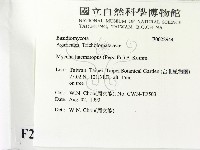 登錄號:F0022944藏品圖，第2張