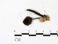 登錄號:F0022944藏品圖，第3張