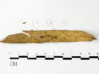 登錄號:F0022945藏品圖，第3張