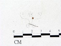 登錄號:F0022947藏品圖，第3張