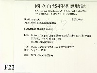 登錄號:F0022948藏品圖，第2張