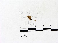 登錄號:F0022948藏品圖，第1張