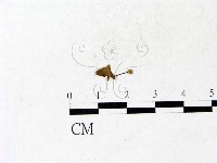 登錄號:F0022948藏品圖，第3張