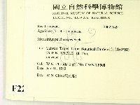 登錄號:F0022949藏品圖，第2張
