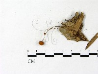登錄號:F0022949藏品圖，第3張