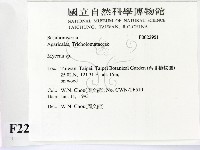 小菇屬藏品圖，第2張