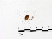 登錄號:F0022952藏品圖，第3張