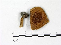 登錄號:F0022953藏品圖，第1張