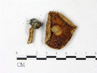 登錄號:F0022953藏品圖，第3張