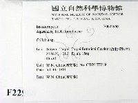 登錄號:F0022960藏品圖，第2張