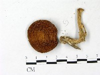 登錄號:F0022962藏品圖，第1張