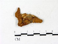 登錄號:F0022963藏品圖，第1張