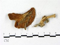 登錄號:F0022964藏品圖，第1張
