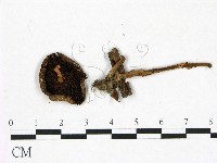 登錄號:F0022966藏品圖，第3張