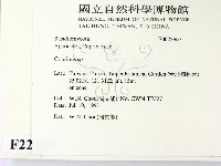 鬼傘屬藏品圖，第2張