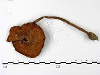 登錄號:F0022969藏品圖，第1張