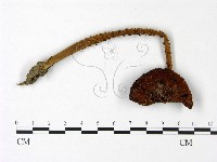 登錄號:F0022970藏品圖，第1張