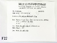 登錄號:F0022971藏品圖，第2張