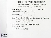 登錄號:F0022972藏品圖，第2張