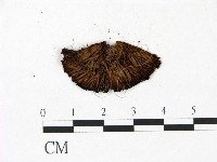 登錄號:F0022972藏品圖，第3張