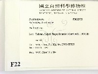 登錄號:F0022973藏品圖，第2張