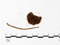 登錄號:F0022974藏品圖，第3張