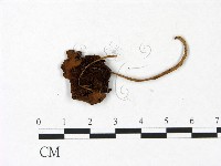登錄號:F0022975藏品圖，第3張