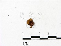 登錄號:F0022976藏品圖，第1張