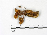 登錄號:F0022978藏品圖，第3張