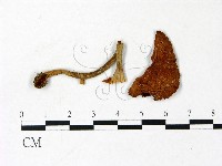 登錄號:F0022979藏品圖，第1張