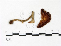 登錄號:F0022979藏品圖，第3張
