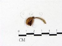 登錄號:F0022983藏品圖，第3張